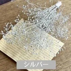 セール プリザーブドフラワー　銀色　シルバー　大地農園 ソフトミニカスミソウ花材
