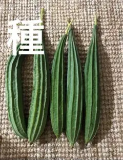 ⭐︎アカネ⭐︎様 リクエスト 8点 まとめ商品