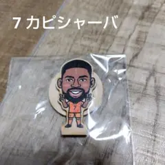 清水エスパルス　カピシャーバ　ウッドスタンド