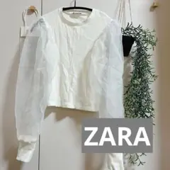 ZARA 袖シアートップス トップス 袖切り替えトップス