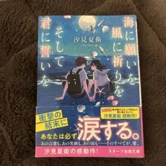 海に願いを、風に祈りを、そして君に誓いを