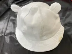 Item thumbnail for item 0c414a6d-c674-46ca-a7bb-227de0c45220