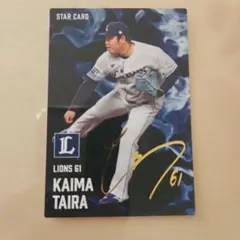 プロ野球チップスカード2025 埼玉西武ライオンズ セット