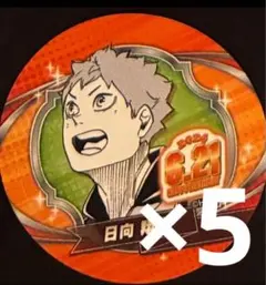 2025年最新】日向翔陽 バースデイ缶バッジの人気アイテム - メルカリ