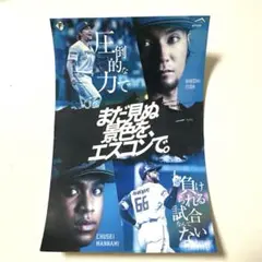 ファイターズ　エスコン　ステッカー　伊藤大海　万波中正