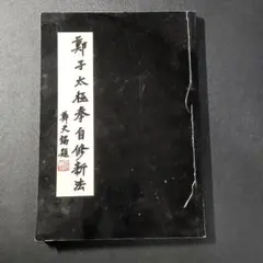 王锋書法经典 王鐸書法経典（中国語） - メルカリ