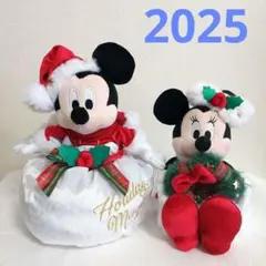 ディズニー ミッキー ミニー ぬいぐるみ 2体セット クリスマス 2025