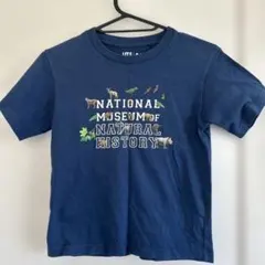 UNIQLO Smithsonian Tシャツ 120