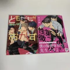 BL漫画 セット ともだちがおかず 私の第二次性徴