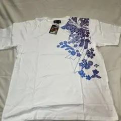 Item thumbnail for item 2d500efa-7322-4b21-86e4-a6f1fd150338