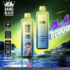 こけこ様　専用ページ　1番２つ　2番１つ