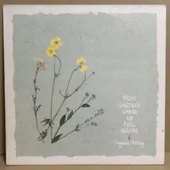 美品CD The Singing Places-Virginia Astley - メルカリ