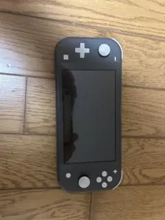 Nintendo Switch Lite グレー 本体　ジャンク品