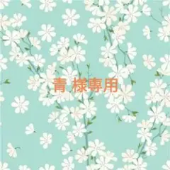 青様専用　イラスト