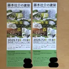 「特別」招待券 藤本壮介の建築展 チケット2枚　森美術館