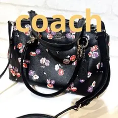 コーチ ミニ クリスティー キャリーオール　 型番F37421