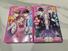 野いちごジュニア文庫、双子×ヒロイン2冊