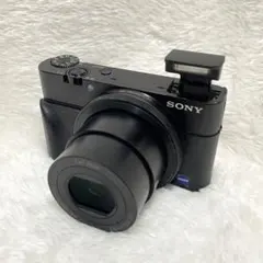 SONY RX100 第一世代 本体 箱 付き レビュー] 不朽の名機 SONY DSC-RX100を徹底レビュー [開封編