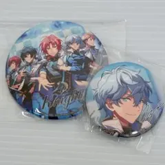 あんさんぶるスターズ 瀬名泉 アルバムシリーズ 缶バッジ