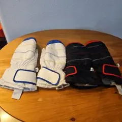 Item thumbnail for item eac0c4c9-56cd-45a1-84be-b079443fff1b