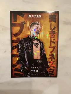 Item thumbnail for item 32f756ae-8719-4f60-91ac-1df1b7d4537e