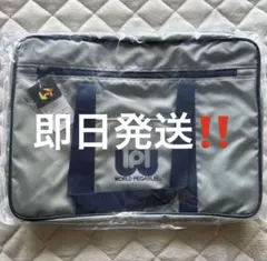 新品未開封旧ワッペスクバグレー色ワールドペガサス旧型マルミ運動具店