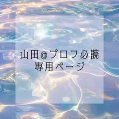 2026年最新】プロフ必読！の人気アイテム - メルカリ