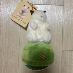 Item thumbnail for item 45c020f3-6434-48c2-a301-5adbcffbf173