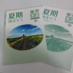 2025年最新】練成ゼミ 夏期の人気アイテム - メルカリ