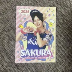 2025年最新】ビール 売り子の人気アイテム - メルカリ