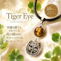 2026年最新】タイガーアイのアクセサリーの人気アイテム - メルカリ