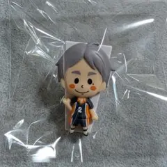 【ハイキュー‼】烏野高校 菅原考支 クリップ★スガさん