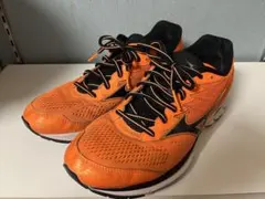 ミズノ ウエーブライダー20 Mizuno wave rider 20 27cm