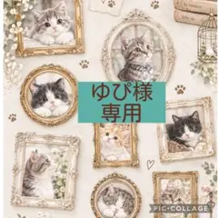 ユキエモンムービースタジオ限定色