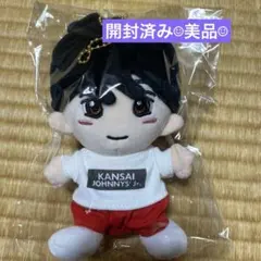 未澤謙也 ぬいぐるみ 末澤誠也 ぬいぐるみ ちびぬい - メルカリ