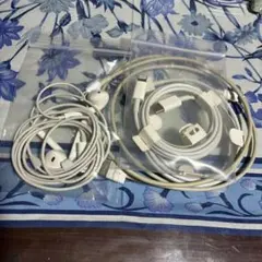 Apple Lightningケーブル イヤホン セット