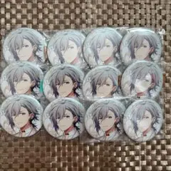 アイナナ spoon.2Di vol.95 全サ 缶バッジ 四葉環 12点