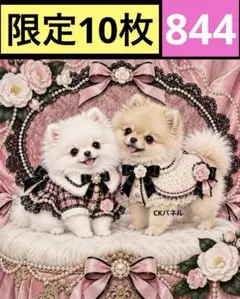 限定10枚！　レアパネル生地　無くなり次第終了です　6犬種パネル
