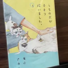 うちの犬が子ネコ拾いました。 1
