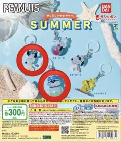 PEANUTS スヌーピー めじるしアクセサリー SUMMER 種セット