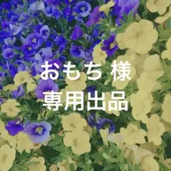 ♡ おもち 様 専用出品 ♡