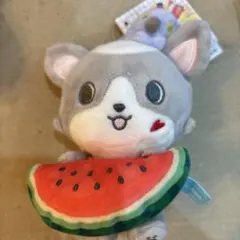 JOCHUM フルーツデザインシリーズ チュララ