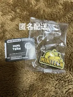 MINITEEN ぷっくりめじるしアクセサリー ホシ SEVENTEEN