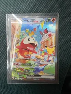 ポケモンカード ホゲータex SAR
