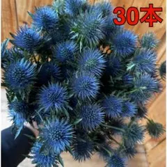 miko様 リクエスト 2点 まとめ商品