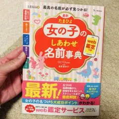 Item thumbnail for item 77835b54-f610-4fa5-91bb-34a00c1f2782