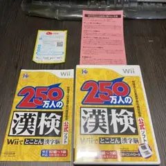 匿名配送　送料無料　250万人の漢検　wiiuでも遊べます