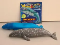 くじら＆Co. まとめ売り The three types we're aiming for are exclusive to Toys'R'Us