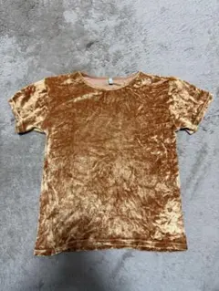 BASErangeグリーン ベルベット Tシャツ ベロア インポート Velvet | Basics in Natural and Recycled Fibers | Baserange