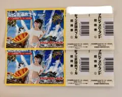 ナガシマスパーランド＆ジャンボ海水プール 3名分 - メルカリ